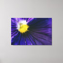 Sök efter pansy canvastryck Natur