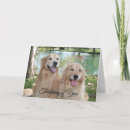 Sök efter retrievers kort Hund