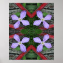 Sök efter clematis posters Blomma