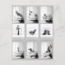 Sök efter badkar vykort Zebra