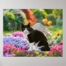 Sök efter blomma katt posters Dotter