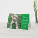 Sök efter stopp kort För henne