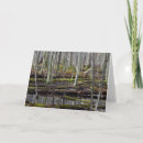 Sök efter blöt kort Söt