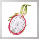 Sök efter exotisk frukt posters Illustration