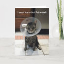 Sök efter cat kort Humor