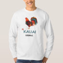 Sök efter hawaiansk ö Kauai