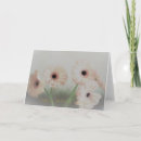 Sök efter rosa gerbera fotografi Födelsedag