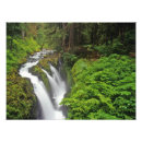 Sök efter olympic nationalpark posters Usa