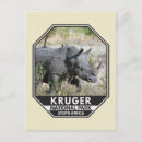 Sök efter rhinos vykort Rhinoceros