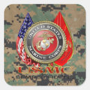 Sök efter semper fi Us marines sendoff