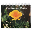 Sök efter blommakalender Vallmo