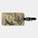Sök efter indisk elefant accessoarer Vilda djur