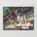 Sök efter djur vykort Kangaroo