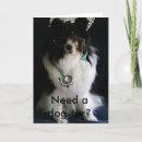 Sök efter shelties Människor (allmänt)