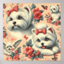 Sök efter maltese hund posters Hundar