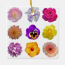 Sök efter rosa gerbera hem presenter Trädgård