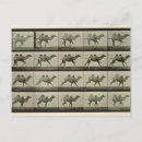 Sök efter muybridge Från