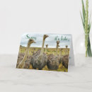 Sök efter försenad födelsedagskort Ledsen