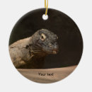 Sök efter dragon fotografi För alla