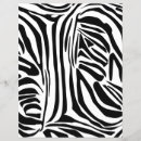 Sök efter zebra reklamblad Safari