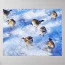 Sök efter sparrows posters Fågel