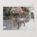 Sök efter rolig älg Humor