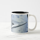 Sök efter plats muggar Utomhus