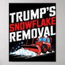 Sök efter snowflake posters Donald