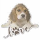 Sök efter beagle klistermärken Foxhound