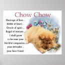 Sök efter chowchow Valp