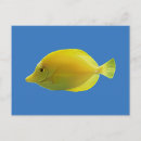Sök efter tropisk fisk vykort Marin