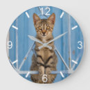 Sök efter stor katt klockor För barn