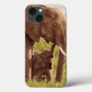 Sök efter mares ipad skal Masai mara