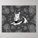Sök efter chihuahua posters Antika