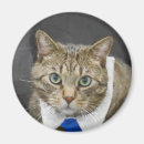 Sök efter gullig katt magneter Människor (allmänt)