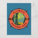 Sök efter regnskog vykort Olympic nationalpark