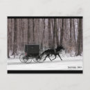 Sök efter amish Buggy