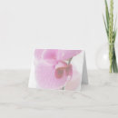 Sök efter rosa orchid fotografi Vacker