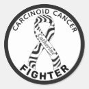 Sök efter zebra hobbymaterial Medvetenhet