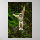 Sök efter stänger posters Djur
