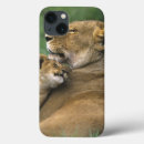 Sök efter panthera leo ipad skal Lejon