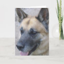 Sök efter shepard kort Hund