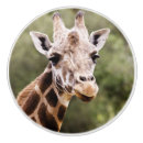 Sök efter giraff knoppar handtag För alla