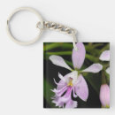 Sök efter epidendrum Orkidéer