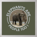 Sök efter zoo fotografi Elefant