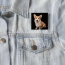 Sök efter corgi knappar Valp