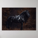 Sök efter dressage posters Sport
