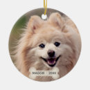Sök efter pomeranian julgransprydnader Hund