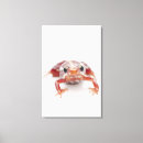 Sök efter riskera posters Lodrät