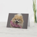 Sök efter pomeranian födelsedagskort Hund